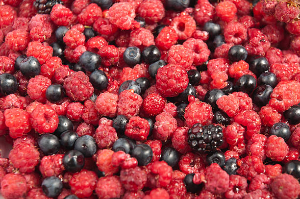 Berries stock photo