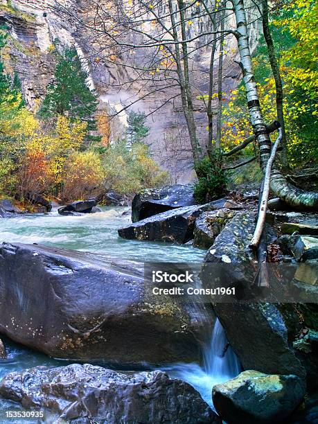 Otoño Foto de stock y más banco de imágenes de Agua - Agua, Aire libre, Arboleda