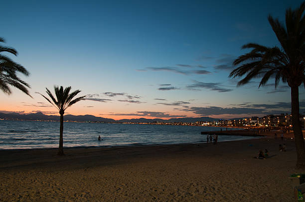 Suggestive sunset between the palms, seen from the beautiful beach of El Arenal. You can see the coast lit up in Palma city.