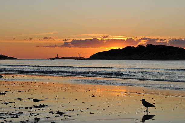 coucher de soleil sur plage good harbor beach - cape ann photos et images de collection