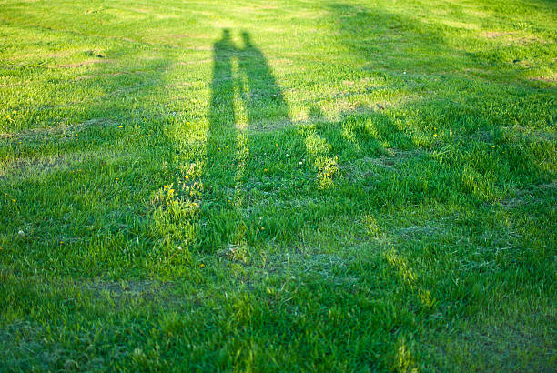 Elongated shadows of people on the green grass. The sunrise.