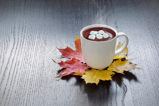 Hot chocolate with marshmallows and autumn leaves