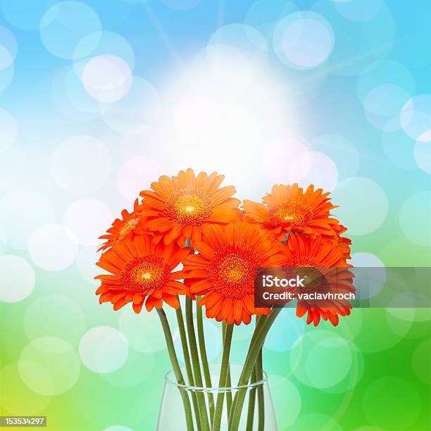 Photo libre de droit de Orange Gerbera Fleurs Dans Un Vase Sur Fond De Printemps banque d'images et plus d'images libres de droit de Anniversaire