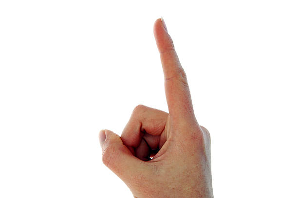 istock Hand Signal - Number one 153534956
