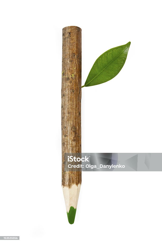 Crayon en bois avec feuilles - Photo de Arbre libre de droits