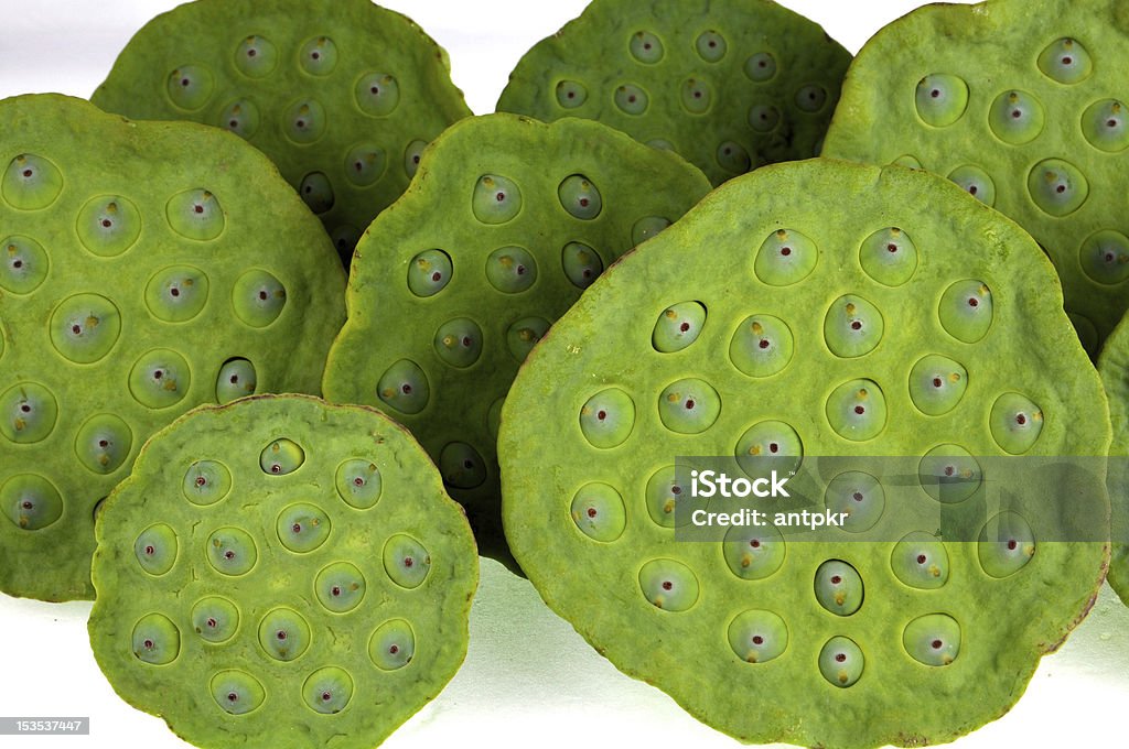 lotus seed Cut Out Stock Photo