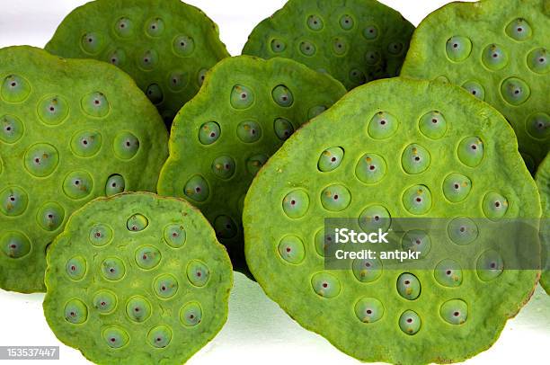 Lotus Seed Stock Photo - Download Image Now - Cut Out, Food, Fruit