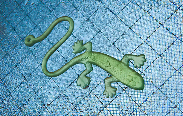 Green plastic lizard toy walking on a wet grid surface. stock photo