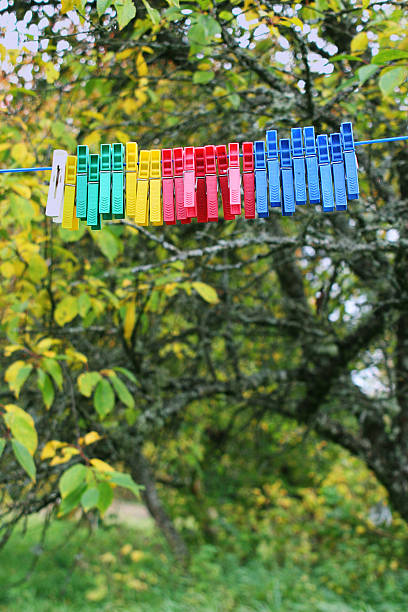 Coloré Plasti Clothespins - Photo