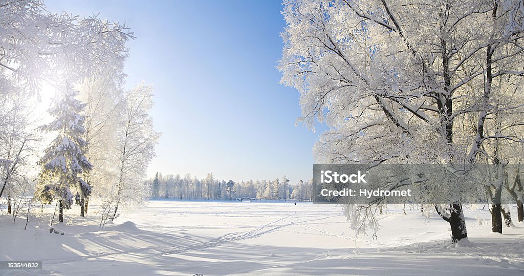 Winter park in snow Agricultural Field Stock Photo