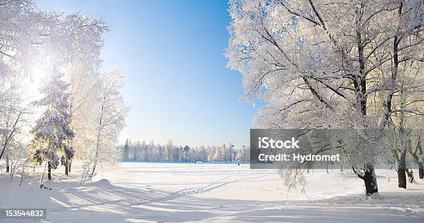 Winter Park In Snow Stock Photo - Download Image Now - Agricultural Field, Blue, Branch - Plant Part