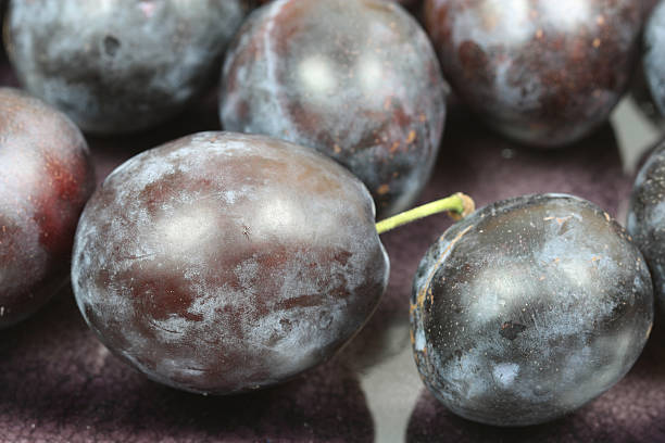 istock Closeup of plums 153545405