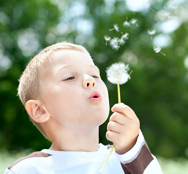 istock Beautiful Boy in the park blowing on dandelion 153545499