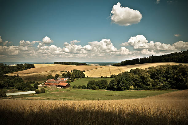 istock Farmers House in summer landscape 153546367