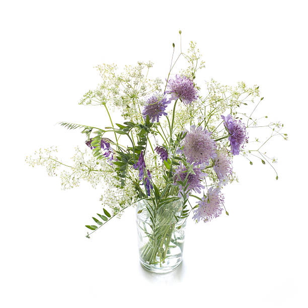 Bunch of purple and white meadow flowers stock photo