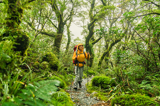 Travelling through Milford track in Fiordland National Park, Milford, New Zealand.