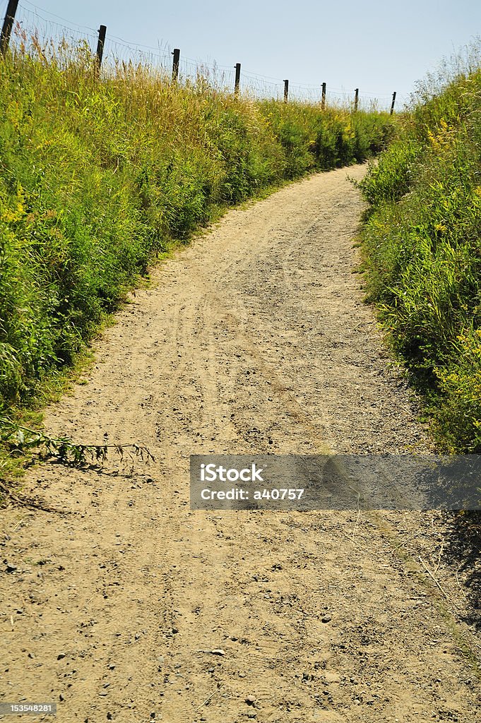 Rural Landscape Farm road leading to an field. Agricultural Field Stock Photo