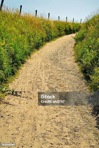 Rural Landscape Stock Photo - Download Image Now - Agricultural Field, Agriculture, Blue