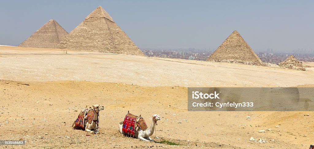 Pyramids of Giza The Great Pyramids of Giza with camels in the foreground. Africa Stock Photo