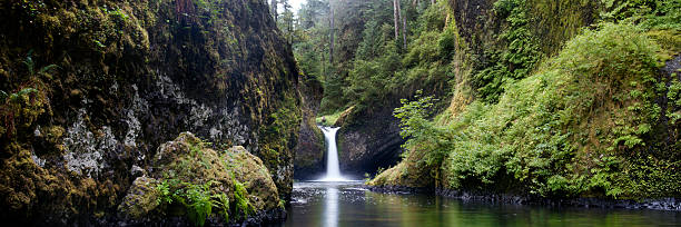 Punchbowl falls, Columbia River Gorge