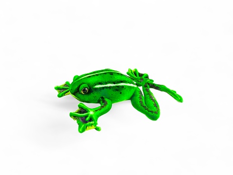 Green frog doll with white lines isolated on white