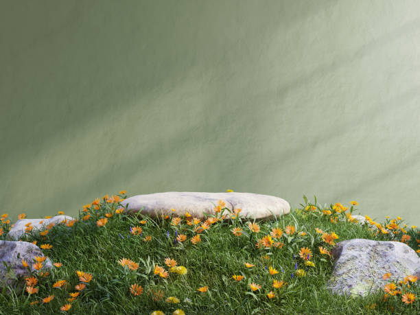 istock Rock platform in tropical forest for product presentation and green wall. 1535512113