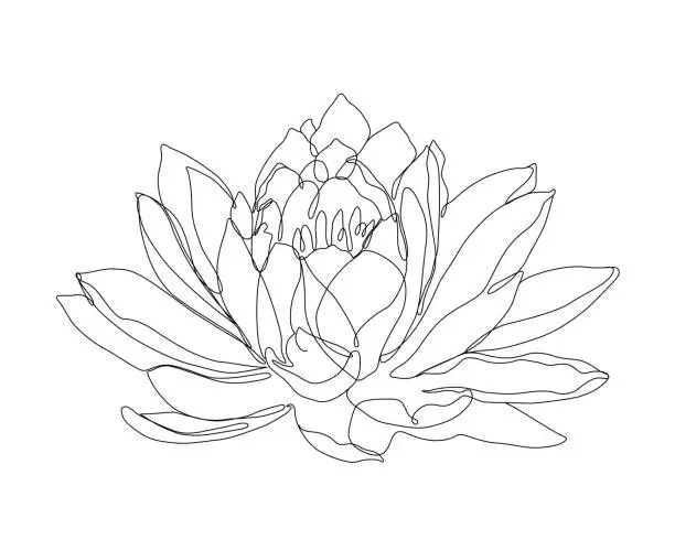 Vector illustration of Lotus Flower Continuous Line Drawing Style Grouped with Editable Stroke