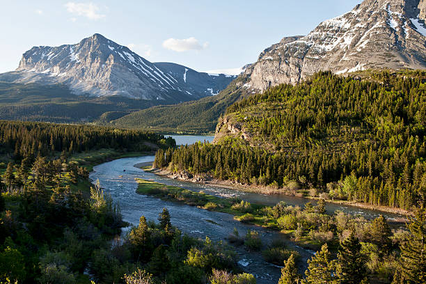 istock Outlet of Swiftcurrent Lake 153551316