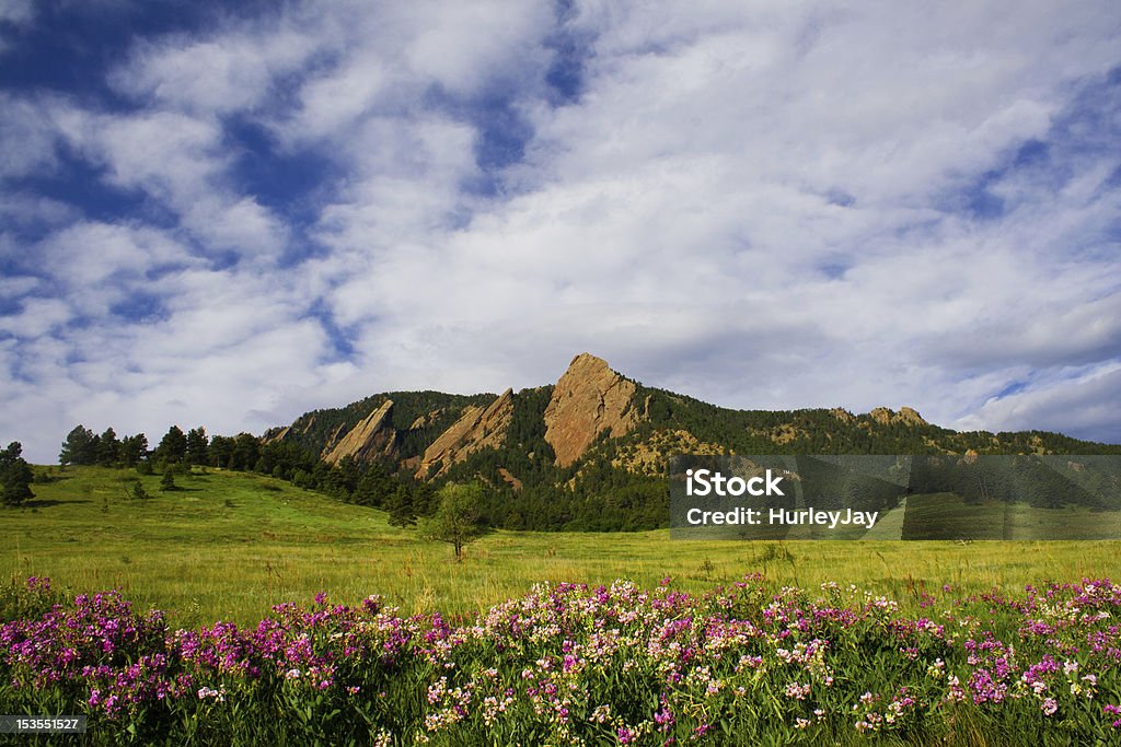 Boulder  Flatirons A summer morning in Boulder, Colorado with the Flatirons in the background and a bunch of purple and pink flowers in the foreground. Boulder - Colorado Stock Photo