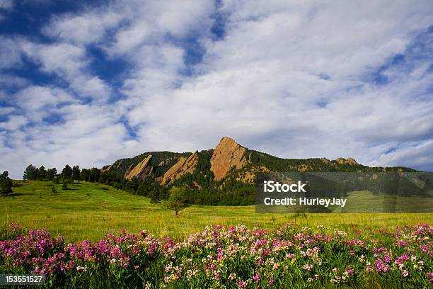 Boulder Flatirons Stock Photo - Download Image Now - Boulder - Colorado, Colorado, Flower