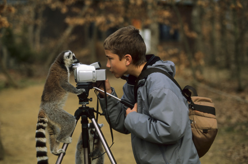 Child get an unique moment face to face with a non-fearful lemur