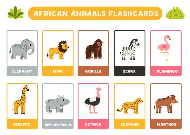 Vector illustration of Cute African animals with names. Flashcards for learning English.