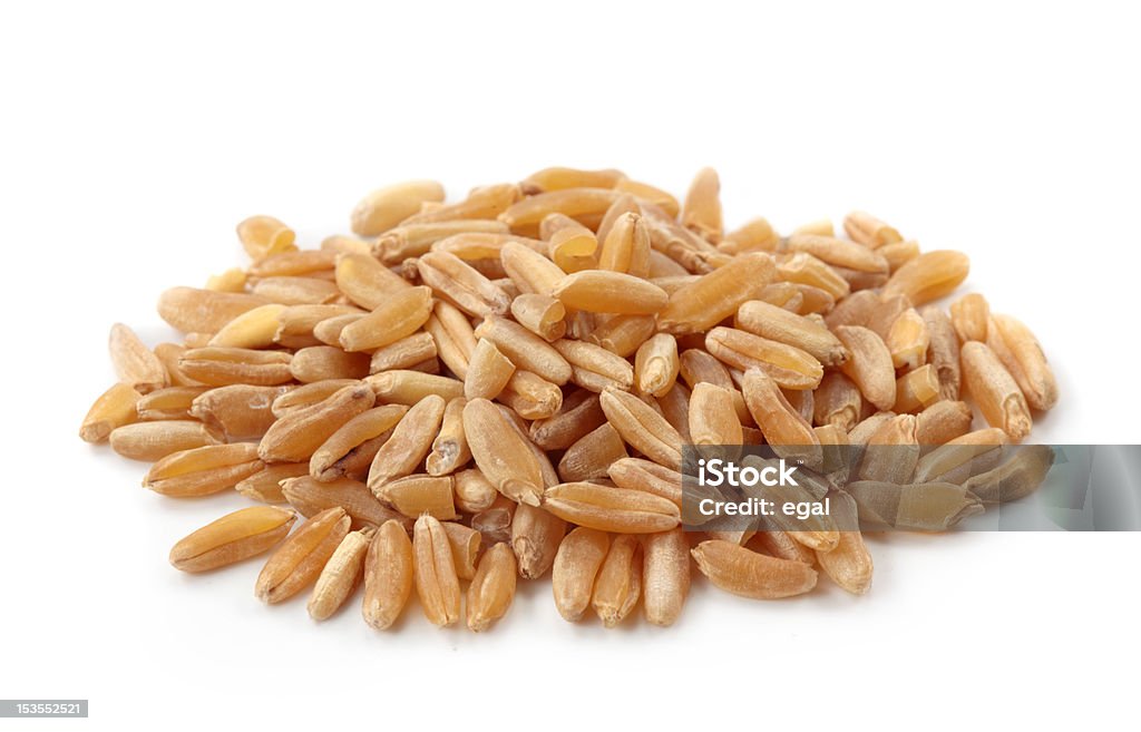 Grano Khorasan - Foto stock royalty-free di Grano - Graminacee