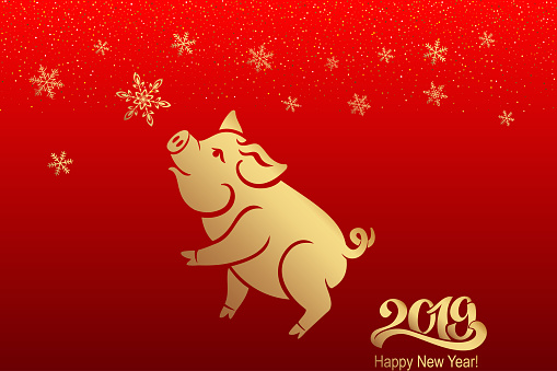 Pig is a symbol of the 2019 Chinese year. Greeting card, poster. Vector illustration.