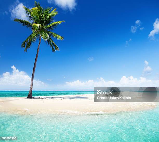 Foto de Palm Na Ilha e mais fotos de stock de América Latina - América Latina, Areia, Azul