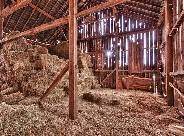 Photo of The interior of a barn with straw bales everywhere