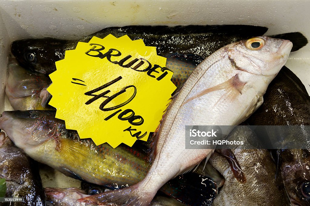 Assortimento di pesce per Annegare - Foto stock royalty-free di Branchia