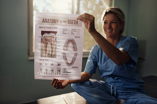 Happy female dentists showing a drawing of anatomy of the teeth in the office. Focus is on paper and hands.