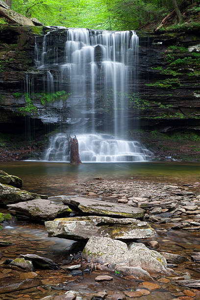 istock Mystical Green Canyon Wilderness Waterfall 153555732