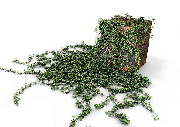 istock Vault overgrown with ivy 153557429