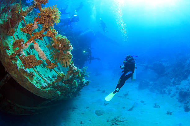 istock wreck in the Red Sea 153557456