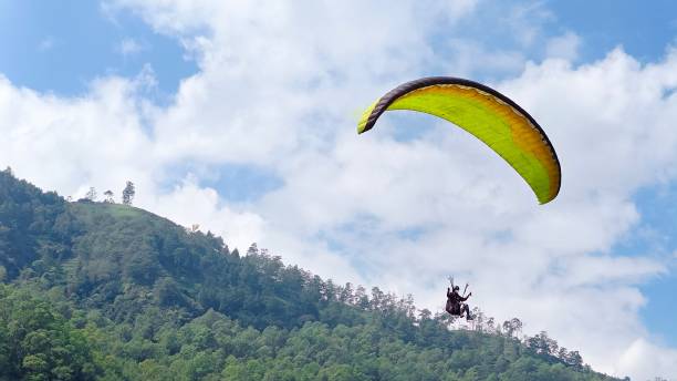 istock Paraglider pilot flying high above green pine forest and blue sky background 1535575754