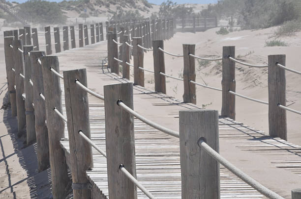 istock Wooden bridge on the beach, Deltebre, Spain 153557677