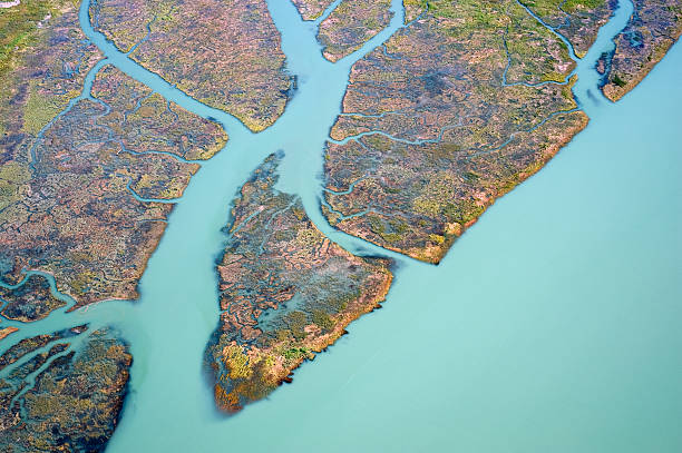 istock Aerial Vancouver - Fraser River in Richmond 153559077