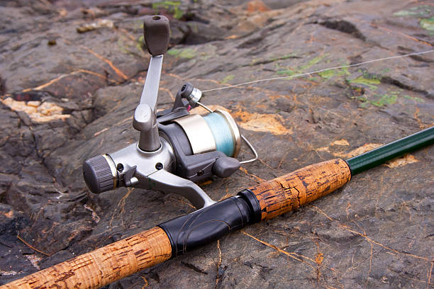 istock Spinning reel and rod 153559454