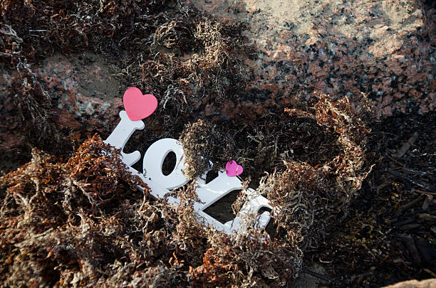 istock The Word Love Appearing Discarded And Washed Ashore 153559492