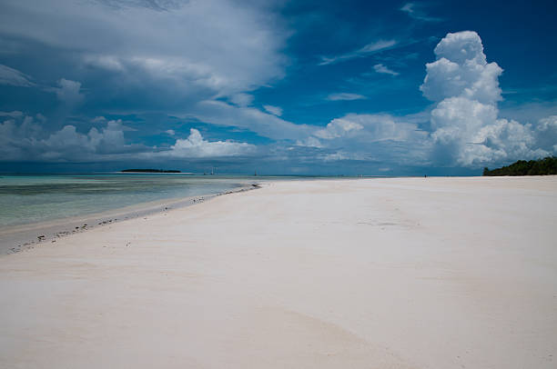 istock White beach on Zanzibar 153559717