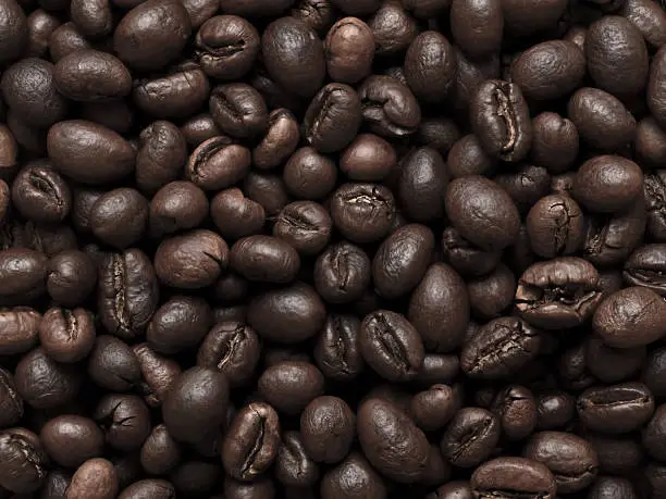 Photo of peabody coffee beans