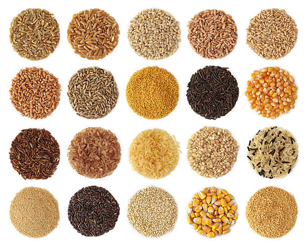 Collection of grains shaped in small circles Cereals collection isolated on white background rice cereal plant photos stock pictures, royalty-free photos & images
