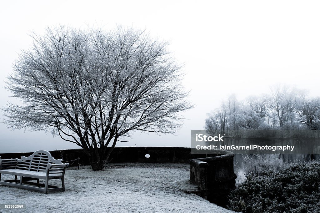 Frosty solitario su Lock Lommond sedile - Foto stock royalty-free di Acqua